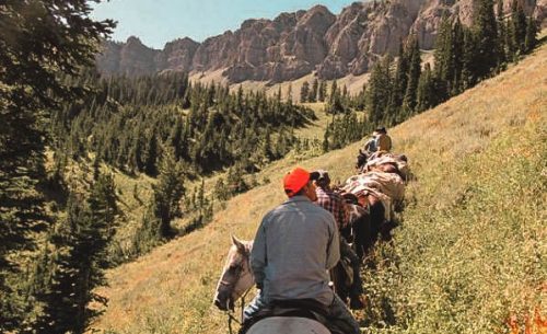 National Forest Rides